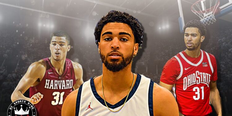 seth towns